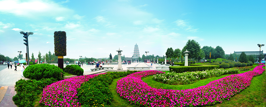 ����ag�ͼǹ����ܹ�˾