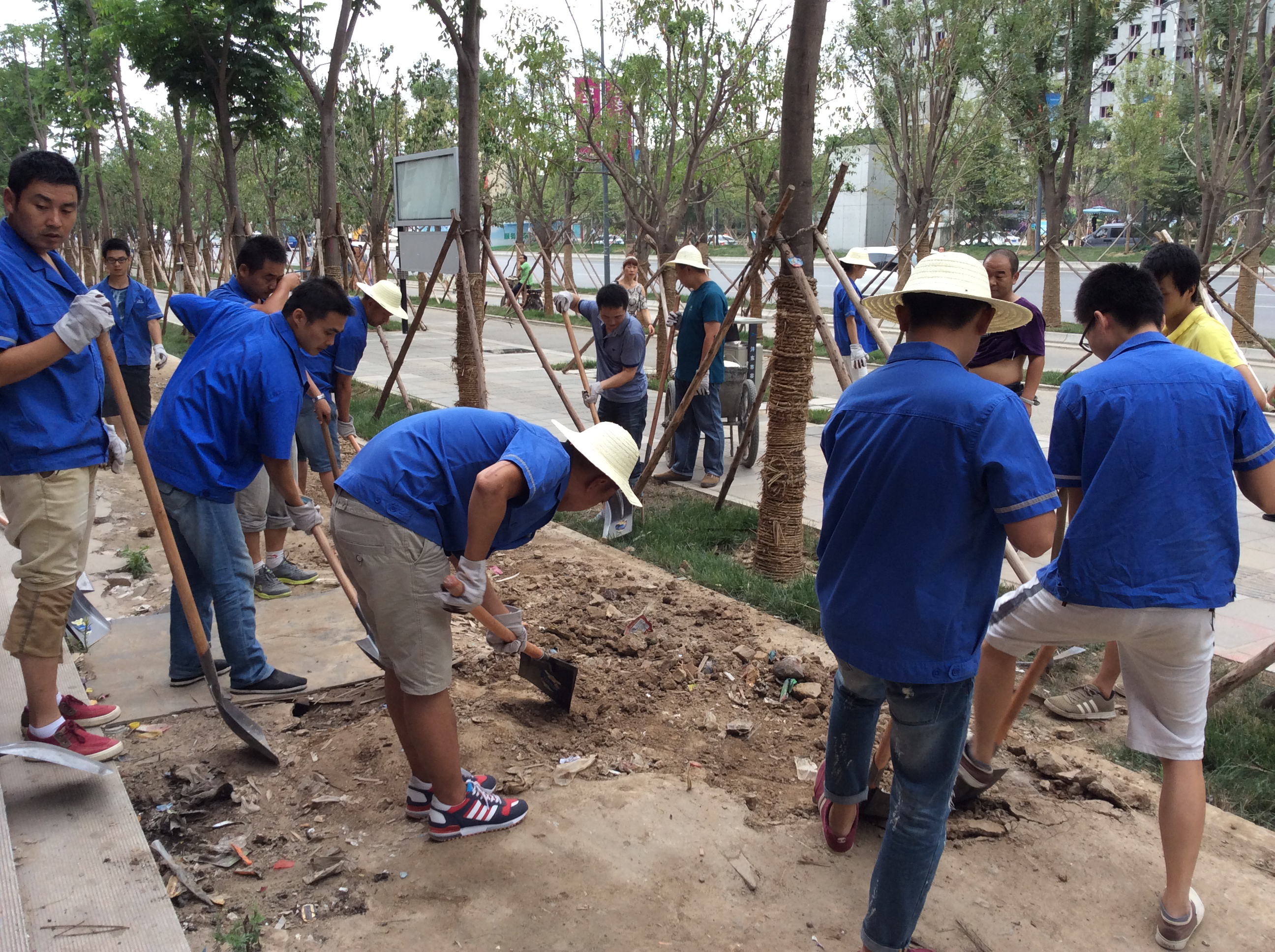 ������ag�ͼǽ���(����)���޹�˾