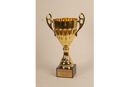 �й�ag�ͼǹ���Э��ag�ͼǽ�ʾ������