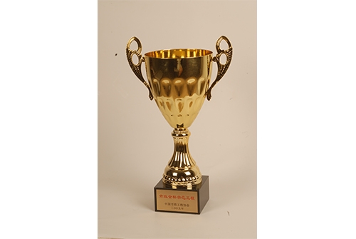 �й�ag�ͼǹ���Э��ag�ͼǽ�ʾ������